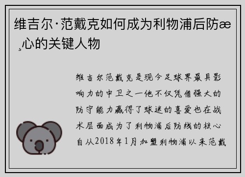 维吉尔·范戴克如何成为利物浦后防核心的关键人物
