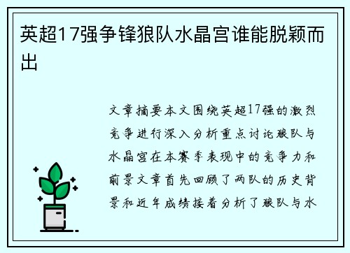 英超17强争锋狼队水晶宫谁能脱颖而出